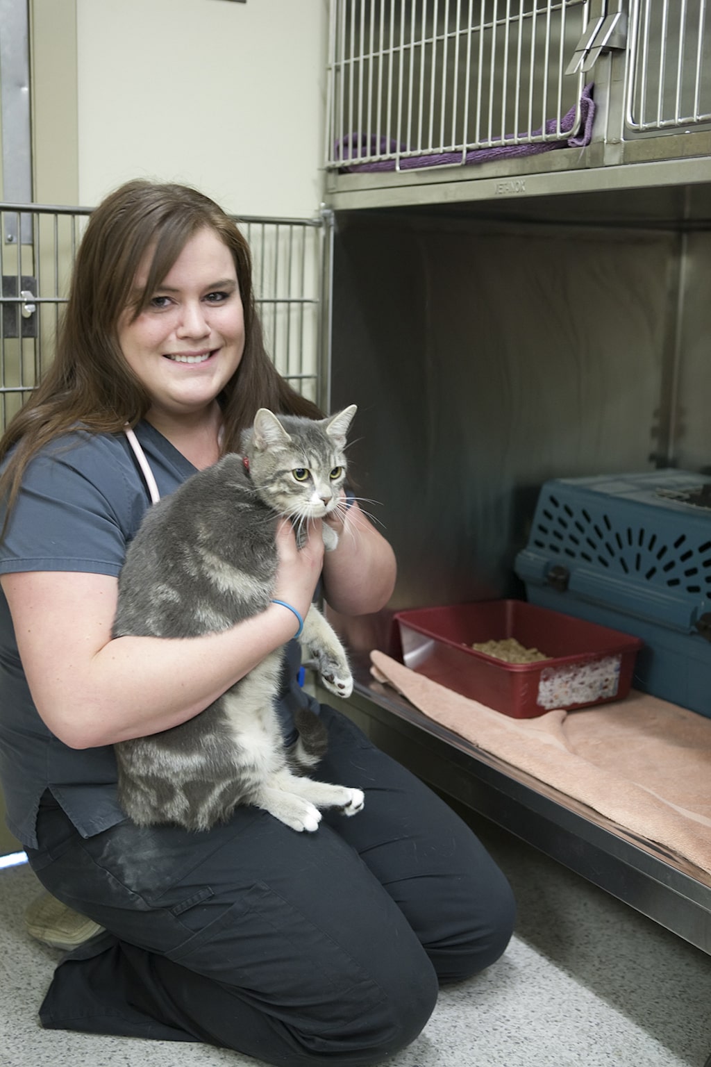 Langley Animal Clinic Vet hospital for cats