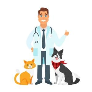 veterinarian doctor with cat dog vector 20570495