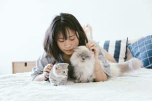 Pet Health and Wellness