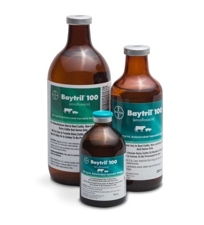 Baytril 100mg/mL 250mL bottle